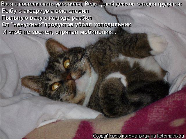 Вася в постели спать умостился, Ведь целый день он сегодня трудился: Рыбу с аквариума всю словил Пыль... Котоматрица: Вася в постели спать умостился, Ведь целый день он сегодня трудился: Рыбу с аквариума всю словил Пыльную вазу с комода разбил. От "ненужных"