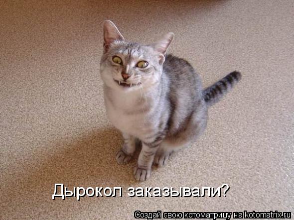 Дырокол заказывали?... Котоматрица: Дырокол заказывали?