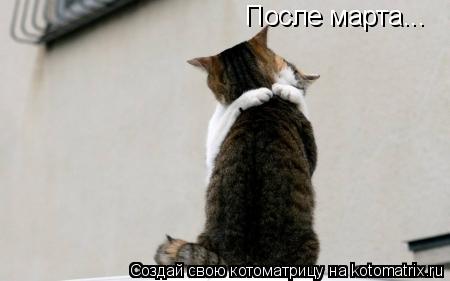 После марта...... Котоматрица: После марта...
