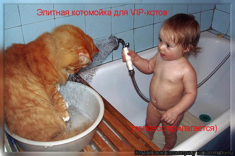Элитная котомойка для VIP-котов (топлесс прилагается)... Котоматрица: Элитная котомойка для VIP-котов (топлесс прилагается)