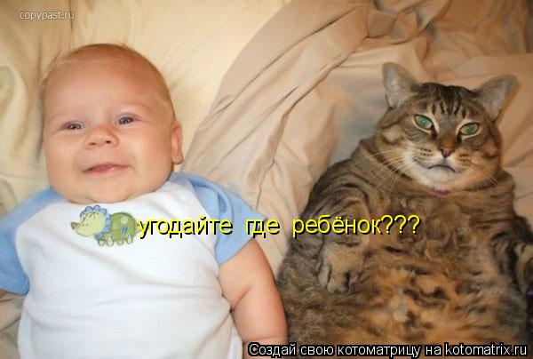 угодайте где ребёнок???... Котоматрица: угодайте где ребёнок???