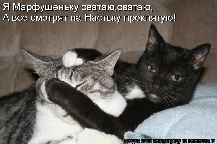 Я Марфушеньку сватаю,сватаю, А все смотрят на Настьку проклятую!... Котоматрица: Я Марфушеньку сватаю,сватаю, А все смотрят на Настьку проклятую!