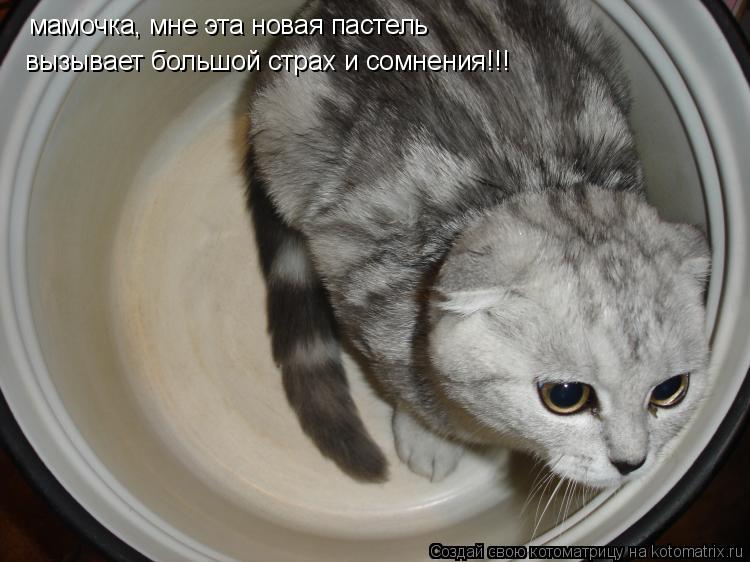 мамочка, мне эта новая пастель вызывает большой страх и сомнения!!!... Котоматрица: мамочка, мне эта новая пастель вызывает большой страх и сомнения!!!