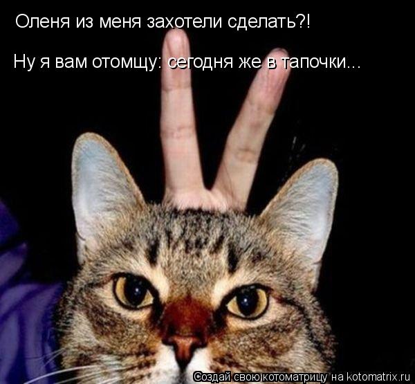 Оленя из меня захотели сделать?! Ну я вам отомщу: сегодня же в тапочки...... Котоматрица: Оленя из меня захотели сделать?! Ну я вам отомщу: сегодня же в тапочки...