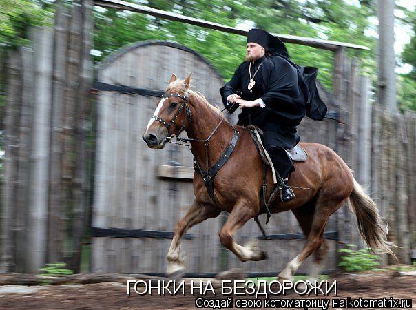 ГОНКИ НА БЕЗДОРОЖИ... Котоматрица: ГОНКИ НА БЕЗДОРОЖИ