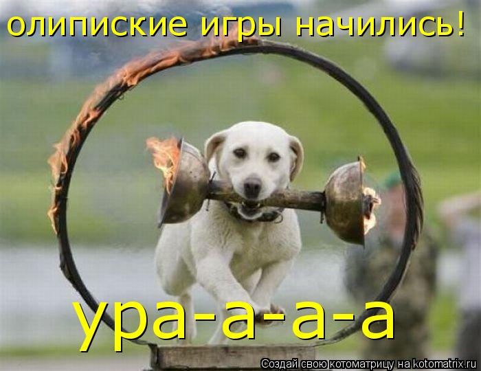 олипиские игры начились! ура-а-а-а... Котоматрица: олипиские игры начились! ура-а-а-а