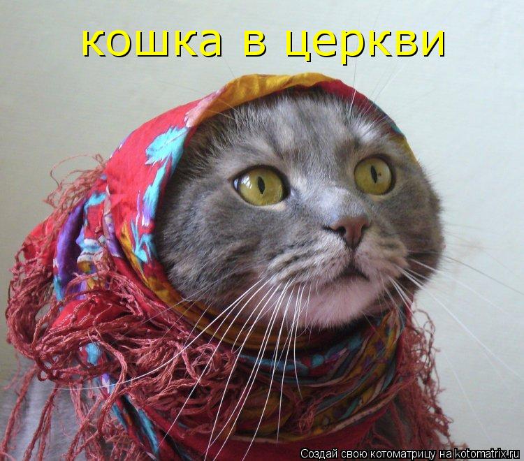 кошка в церкви... Котоматрица: кошка в церкви