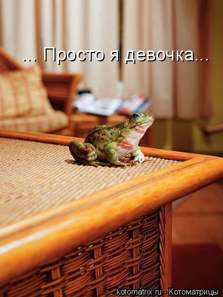 ... Просто я девочка...... Котоматрица: ... Просто я девочка...