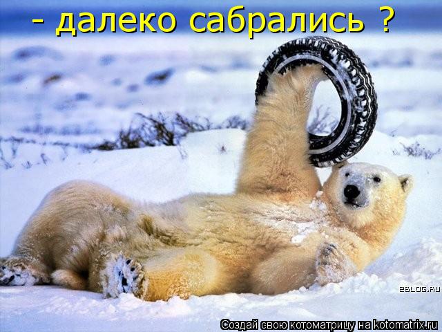 - далеко сабрались ?... Котоматрица: - далеко сабрались ?