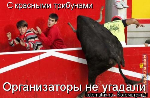 С красными трибунами Организаторы не угадали... Котоматрица: С красными трибунами Организаторы не угадали