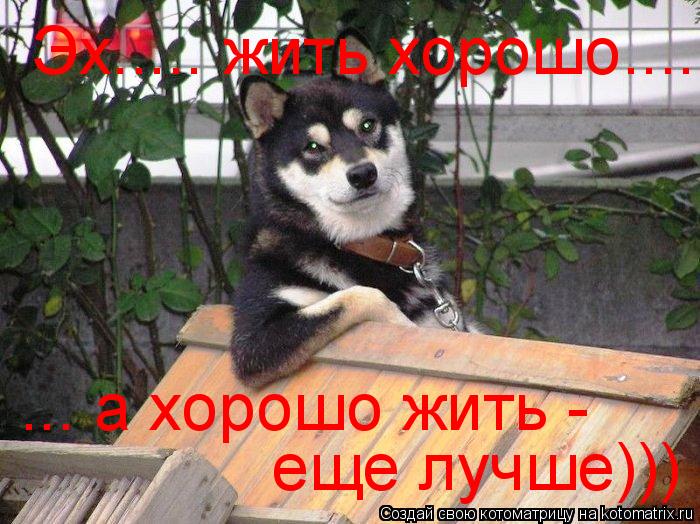 Эх..... жить хорошо....... ... а хорошо жить - еще лучше)))... Котоматрица: Эх..... жить хорошо....... ... а хорошо жить - еще лучше)))