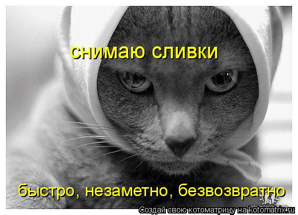 быстро, незаметно, безвозвратно снимаю сливки... Котоматрица: быстро, незаметно, безвозвратно снимаю сливки