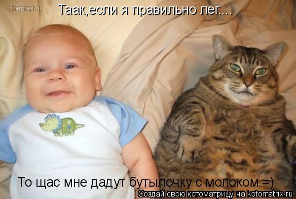 Таак,если я правильно лег.... То щас мне дадут бутылочку с молоком.=)... Котоматрица: Таак,если я правильно лег.... То щас мне дадут бутылочку с молоком.=)