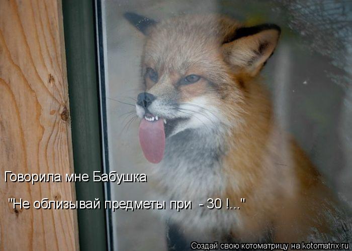 Говорила мне Бабушка "Не облизывай предметы при - 30 !..."... Котоматрица: Говорила мне Бабушка "Не облизывай предметы при - 30 !..."