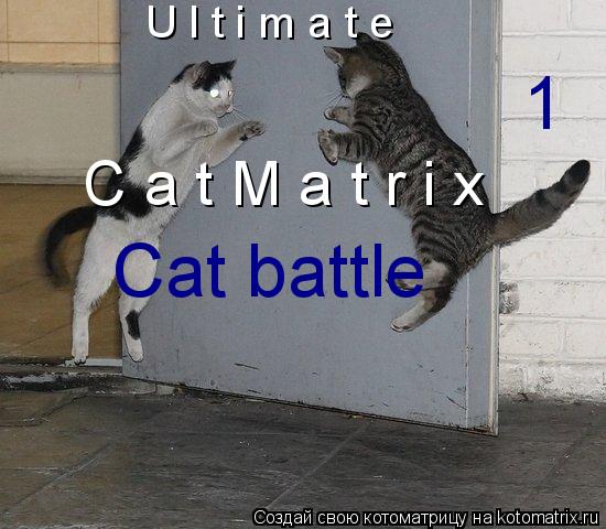 U l t i m a t e C a t M a t r i x 1 Cat battle... Котоматрица: U l t i m a t e C a t M a t r i x 1 Cat battle