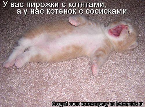 У вас пирожки с котятами , а у нас котенок с сосисками... Котоматрица: У вас пирожки с котятами , а у нас котенок с сосисками