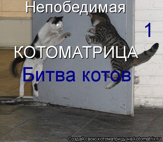 Непобедимая КОТОМАТРИЦА 1 Битва котов... Котоматрица: Непобедимая КОТОМАТРИЦА 1 Битва котов