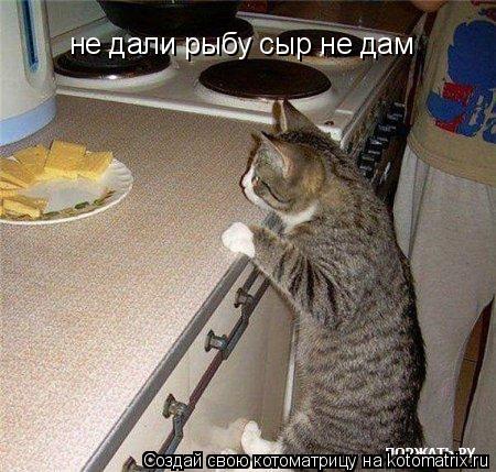 не дали рыбу сыр не дам... Котоматрица: не дали рыбу сыр не дам