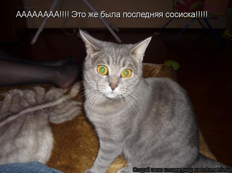 АААААААА!!!! Это же была последняя сосиска!!!!!... Котоматрица: АААААААА!!!! Это же была последняя сосиска!!!!!