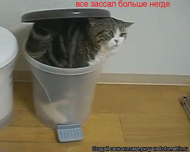 все зассал больше негде... Котоматрица: все зассал больше негде