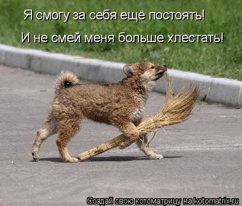И не смей меня больше хлестать! Я смогу за себя ещё постоять!... Котоматрица: И не смей меня больше хлестать! Я смогу за себя ещё постоять!