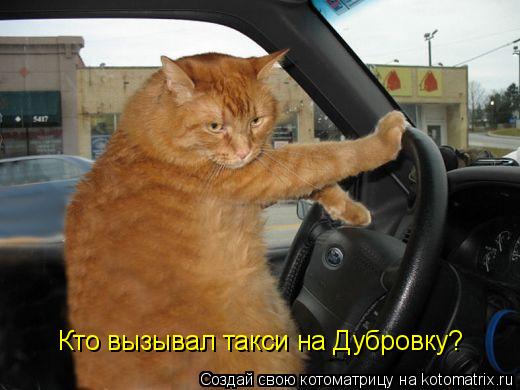 Кто вызывал такси на Дубровку?... Котоматрица: Кто вызывал такси на Дубровку?