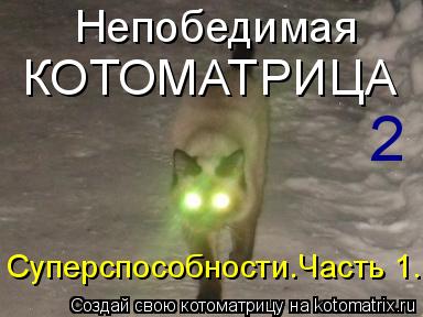 Непобедимая КОТОМАТРИЦА 2 Суперспособности.Часть 1.... Котоматрица: Непобедимая КОТОМАТРИЦА 2 Суперспособности.Часть 1.