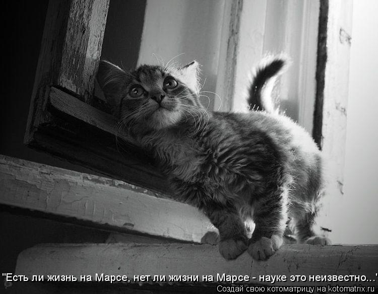 "Есть ли жизнь на Марсе, нет ли жизни на Марсе - науке это неизвестно..."... Котоматрица: "Есть ли жизнь на Марсе, нет ли жизни на Марсе - науке это неизвестно..."