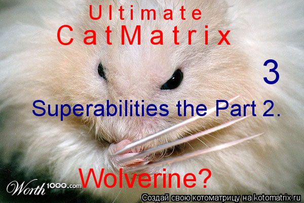U l t i m a t e C a t M a t r i x 3 Superabilities the Part 2. Wolverine?... Котоматрица: U l t i m a t e C a t M a t r i x 3 Superabilities the Part 2. Wolverine?