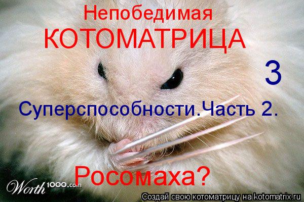 Непобедимая КОТОМАТРИЦА 3 Суперспособности.Часть 2. Росомаха?... Котоматрица: Непобедимая КОТОМАТРИЦА 3 Суперспособности.Часть 2. Росомаха?