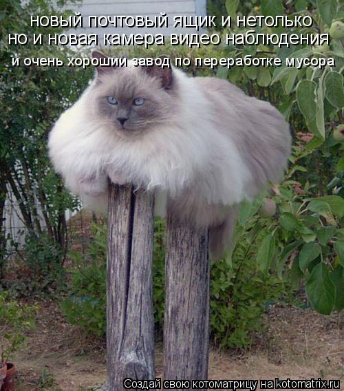новый почтовый ящик и нетолько но и новая камера видео наблюдения но и новая камера видео наблюдения ... Котоматрица: новый почтовый ящик и нетолько но и новая камера видео наблюдения но и новая камера видео наблюдения и очень хорошии завод по переработке м