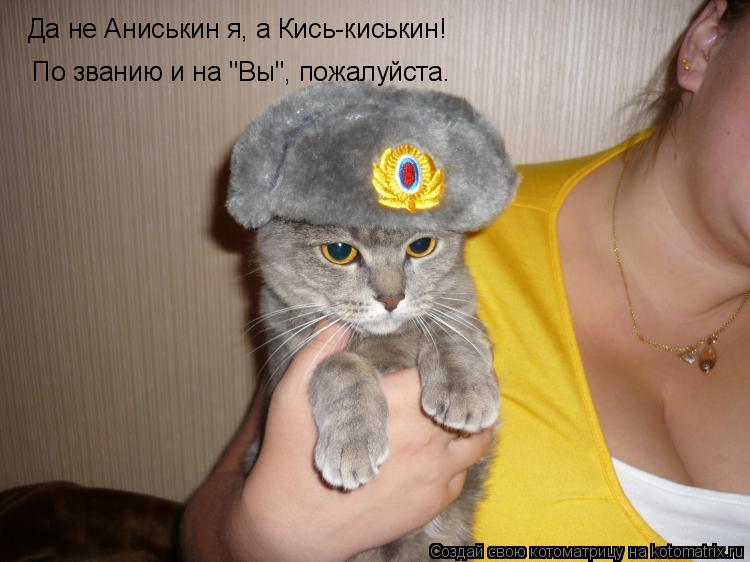 Да не Аниськин я, а Кись-киськин! По званию и на "Вы", пожалуйста.... Котоматрица: Да не Аниськин я, а Кись-киськин! По званию и на "Вы", пожалуйста.