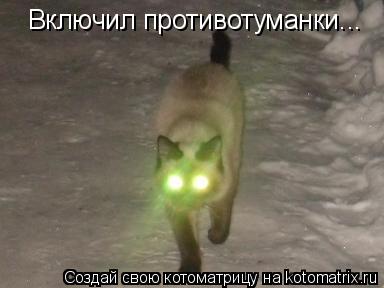 Включил противотуманки...... Котоматрица: Включил противотуманки...