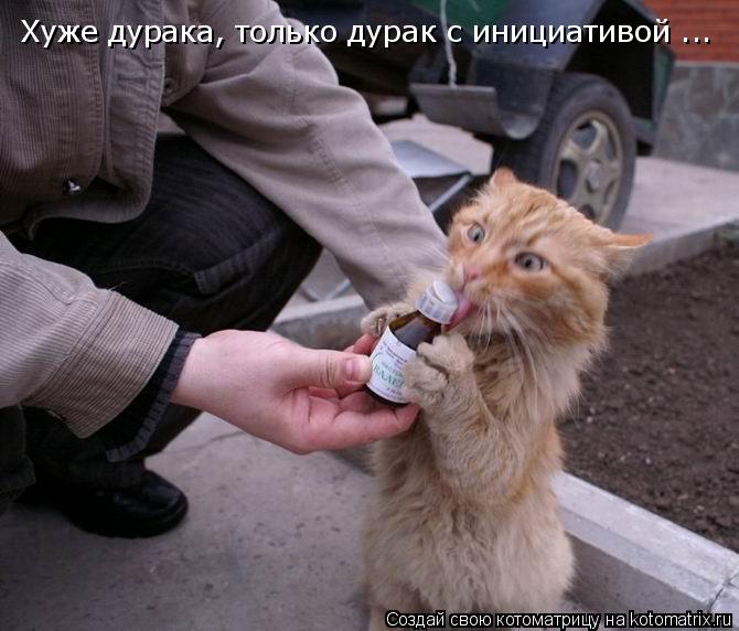 Хуже дурака, только дурак с инициативой ...... Котоматрица: Хуже дурака, только дурак с инициативой ...