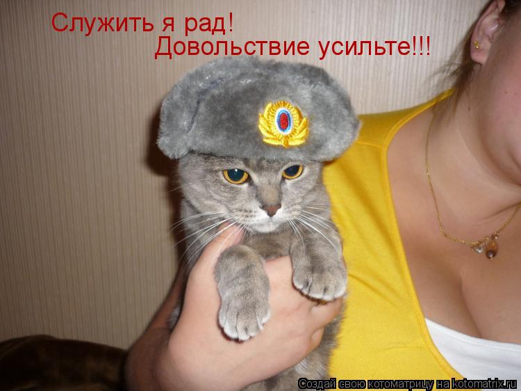 Служить я рад! Довольствие усильте!!!... Котоматрица: Служить я рад! Довольствие усильте!!!