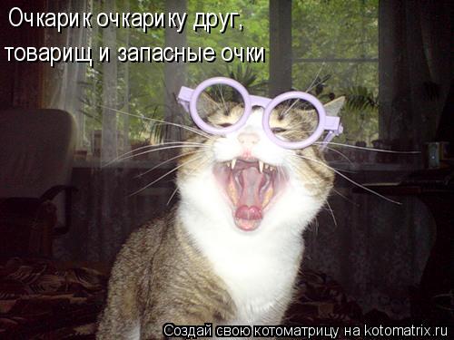 Очкарик очкарику друг, товарищ и запасные очки... Котоматрица: Очкарик очкарику друг, товарищ и запасные очки