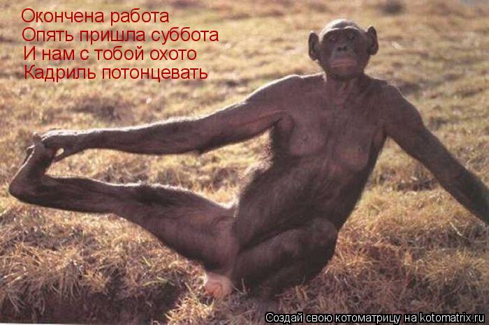 Окончена работа Опять пришла суббота И нам с тобой охото Кадриль потонцевать... Котоматрица: Окончена работа Опять пришла суббота И нам с тобой охото Кадриль потонцевать