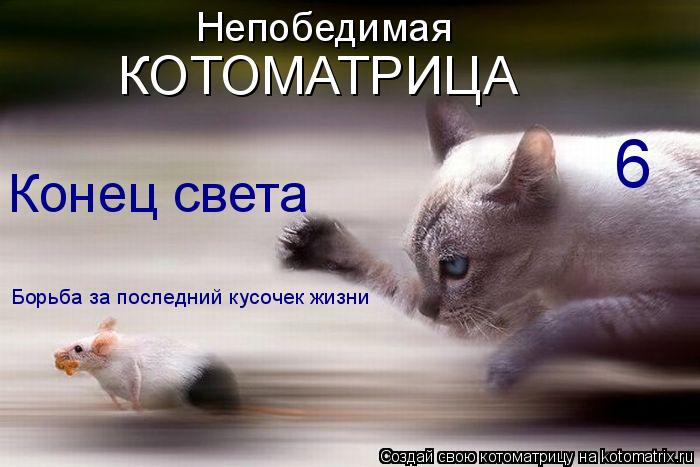 Непобедимая КОТОМАТРИЦА 6 Конец света Борьба за последний кусочек жизни... Котоматрица: Непобедимая КОТОМАТРИЦА 6 Конец света Борьба за последний кусочек жизни