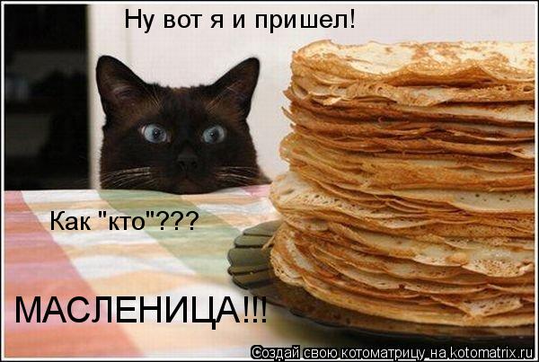 Ну вот я и пришел! Как "кто"??? МАСЛЕНИЦА!!!... Котоматрица: Ну вот я и пришел! Как "кто"??? МАСЛЕНИЦА!!!