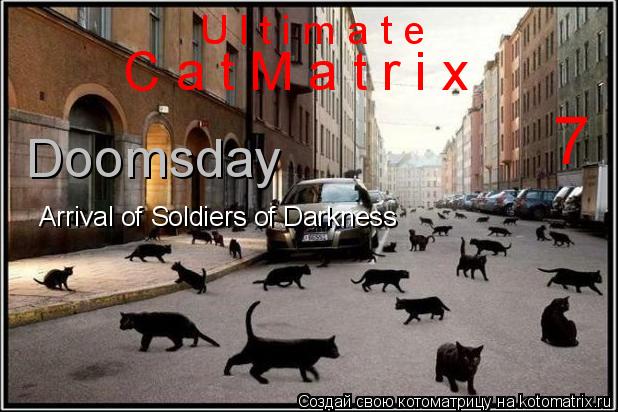 U l t i m a t e C a t M a t r i x 7 Doomsday Arrival of Soldiers of Darkness... Котоматрица: U l t i m a t e C a t M a t r i x 7 Doomsday Arrival of Soldiers of Darkness