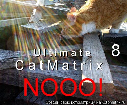 U l t i m a t e C a t M a t r i x 8 NOOO!... Котоматрица: U l t i m a t e C a t M a t r i x 8 NOOO!