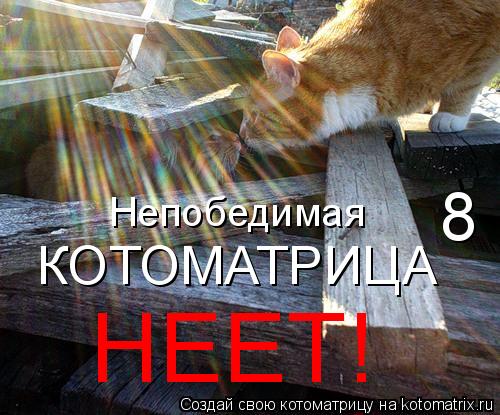 Непобедимая КОТОМАТРИЦА 8 НЕЕТ!... Котоматрица: Непобедимая КОТОМАТРИЦА 8 НЕЕТ!