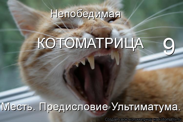 Непобедимая КОТОМАТРИЦА 9 Месть. Предисловие Ультиматума.... Котоматрица: Непобедимая КОТОМАТРИЦА 9 Месть. Предисловие Ультиматума.