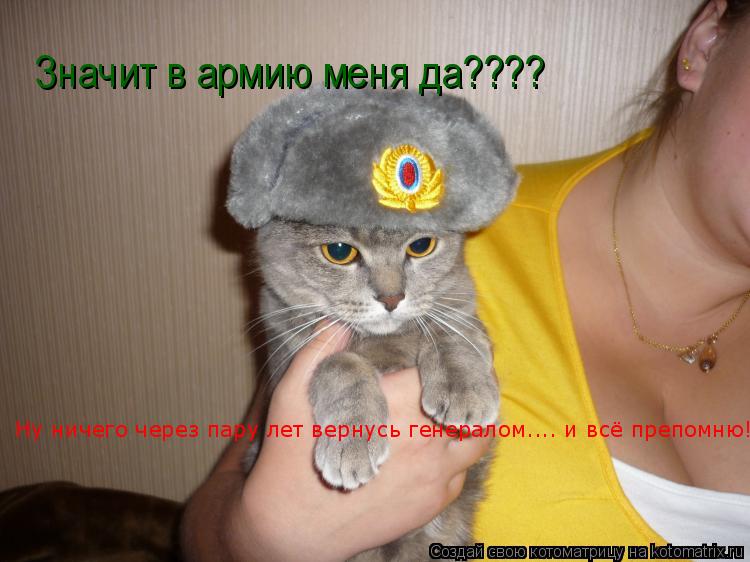 Котоматрица: Значит в армию меня да???? Ну ничего через пару лет вернусь генералом.... и всё препомню!