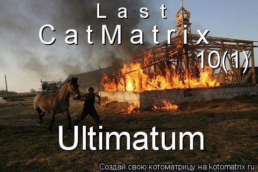 Котоматрица: L  a  s  t C a t M a t r i x 10(1) Ultimatum