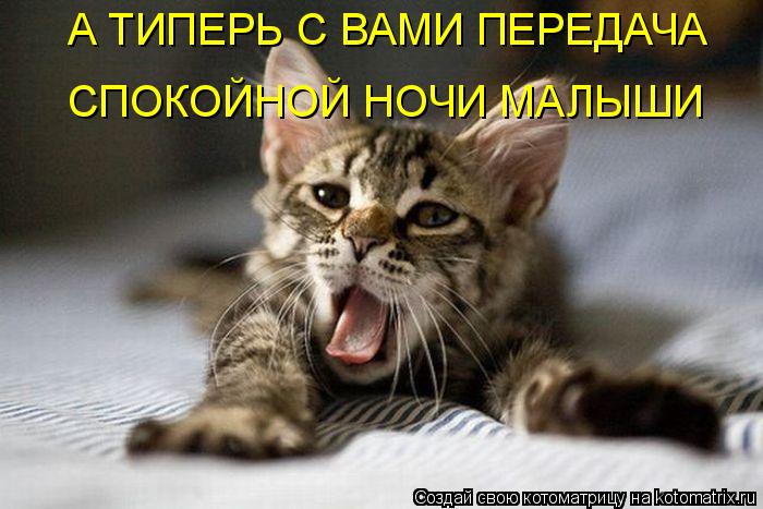 А ТИПЕРЬ С ВАМИ ПЕРЕДАЧА СПОКОЙНОЙ НОЧИ МАЛЫШИ... Котоматрица: А ТИПЕРЬ С ВАМИ ПЕРЕДАЧА СПОКОЙНОЙ НОЧИ МАЛЫШИ