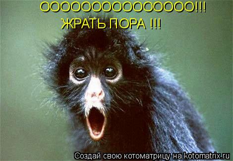 ООООООООООООООО!!! ЖРАТЬ ПОРА !!!... Котоматрица: ООООООООООООООО!!! ЖРАТЬ ПОРА !!!