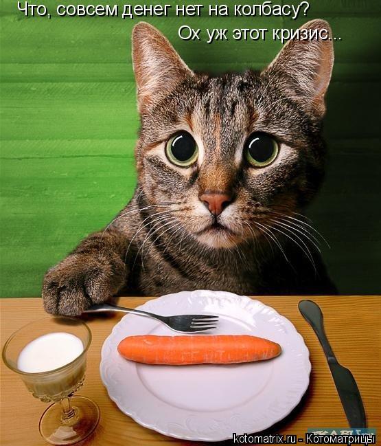 Что, совсем денег нет на колбасу? Ох уж этот кризис...... Котоматрица: Что, совсем денег нет на колбасу? Ох уж этот кризис...