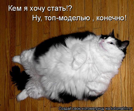 Кем я хочу стать!? Ну, топ-моделью , конечно!... Котоматрица: Кем я хочу стать!? Ну, топ-моделью , конечно!