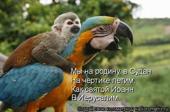 Как святой Иоанн В Иерусалим. На чёртике летим, Мы на родину, в Судан... Котоматрица: Как святой Иоанн В Иерусалим. На чёртике летим, Мы на родину, в Судан